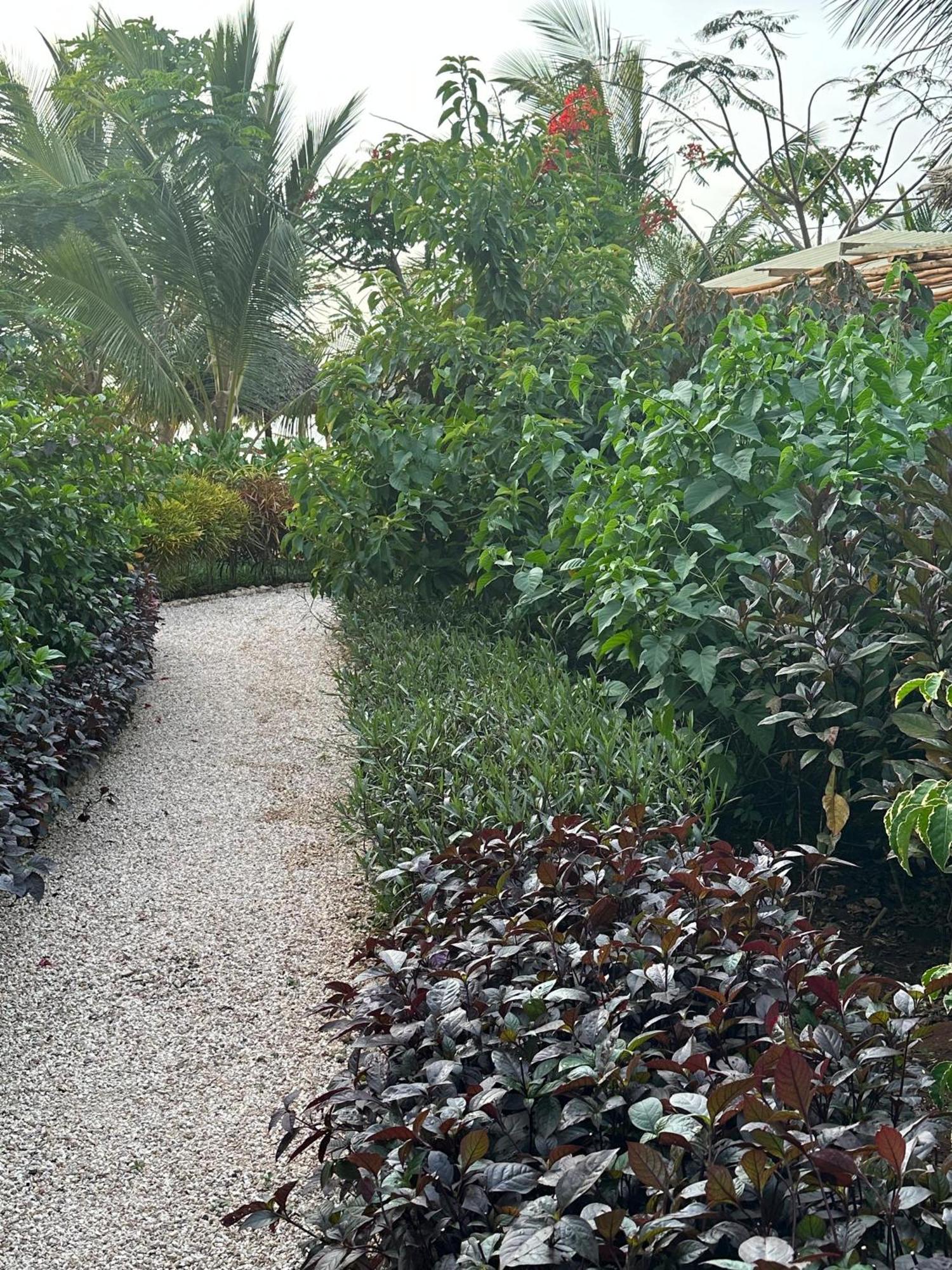 Kidoti Bay Hotel Buitenkant foto